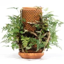 Tevaplanter : Self Watering Planter -Plant house 2048a 894c0f5e f36f 40cc 82eb 7489c8fcc563
