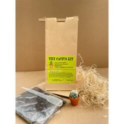 Tiny Cactus Kit -Plant house IMG 4936