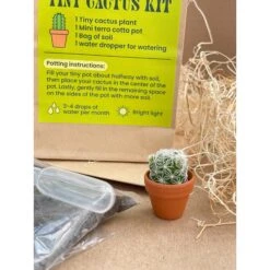 Tiny Cactus Kit -Plant house IMG 4937