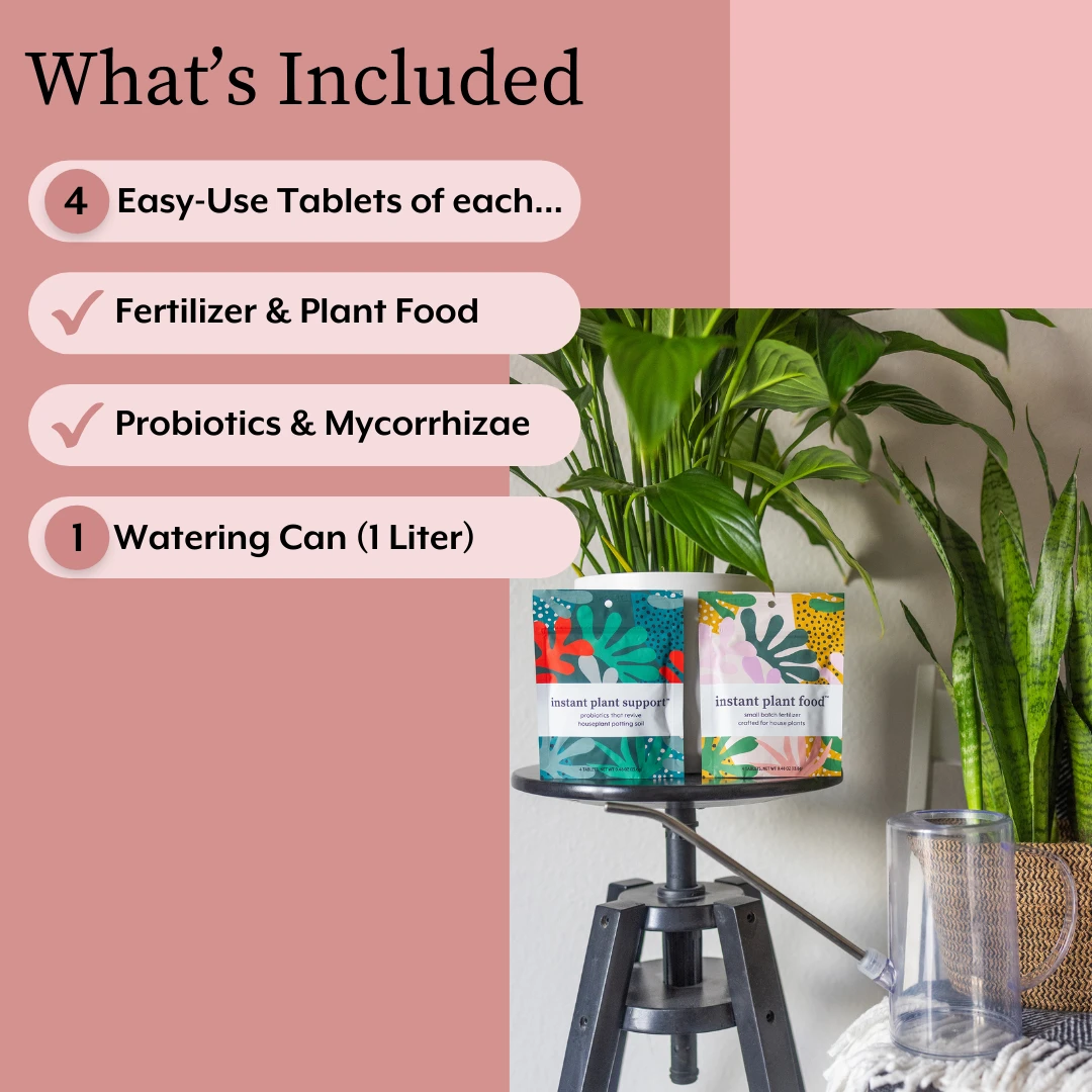 The Houseplant GROW Bundle (Plant Food + ProBiotics + Watering Can) 6 The Houseplant GROW Bundle (Plant Food + ProBiotics + Watering Can) - Image 6