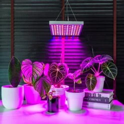 Brite Labs - Gaze Grow Light 18 Brite Labs - Gaze Grow Light -Plant house JOMN0048