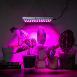 Brite Labs - Gaze Grow Light 14 Brite Labs - Gaze Grow Light -Plant house JOMN1720
