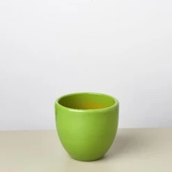 Liberty Bell Planter 22 Liberty Bell Planter -Plant house LibertyBell greenpot