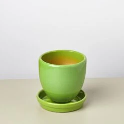 Liberty Bell Planter 24 Liberty Bell Planter -Plant house LibertyBell greensaucer pot