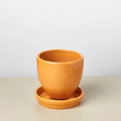 Liberty Bell Planter 33 Liberty Bell Planter -Plant house LibertyBell orangesaucer pot