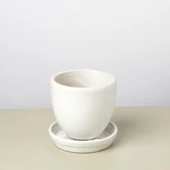 Liberty Bell Planter 37 Liberty Bell Planter -Plant house LibertyBell whitesaucer pot