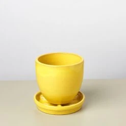 Liberty Bell Planter 35 Liberty Bell Planter -Plant house LibertyBell yellowsaucer pot