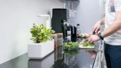 Click & Grow | Smart Garden 3 -Plant house MG 0242