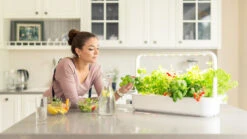 Click & Grow Smart Garden 9 | Automatic Indoor Garden -Plant house MG 1033