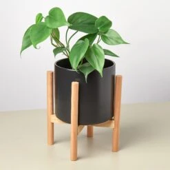 Cylinder Planter With Wood Stand - 5" Pot -Plant house POTBLACKWOODSTAND DETAIL