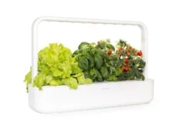 Click & Grow Smart Garden 9 | Automatic Indoor Garden