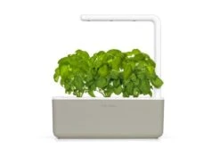Click & Grow | Smart Garden 3 -Plant house SG beige front basils