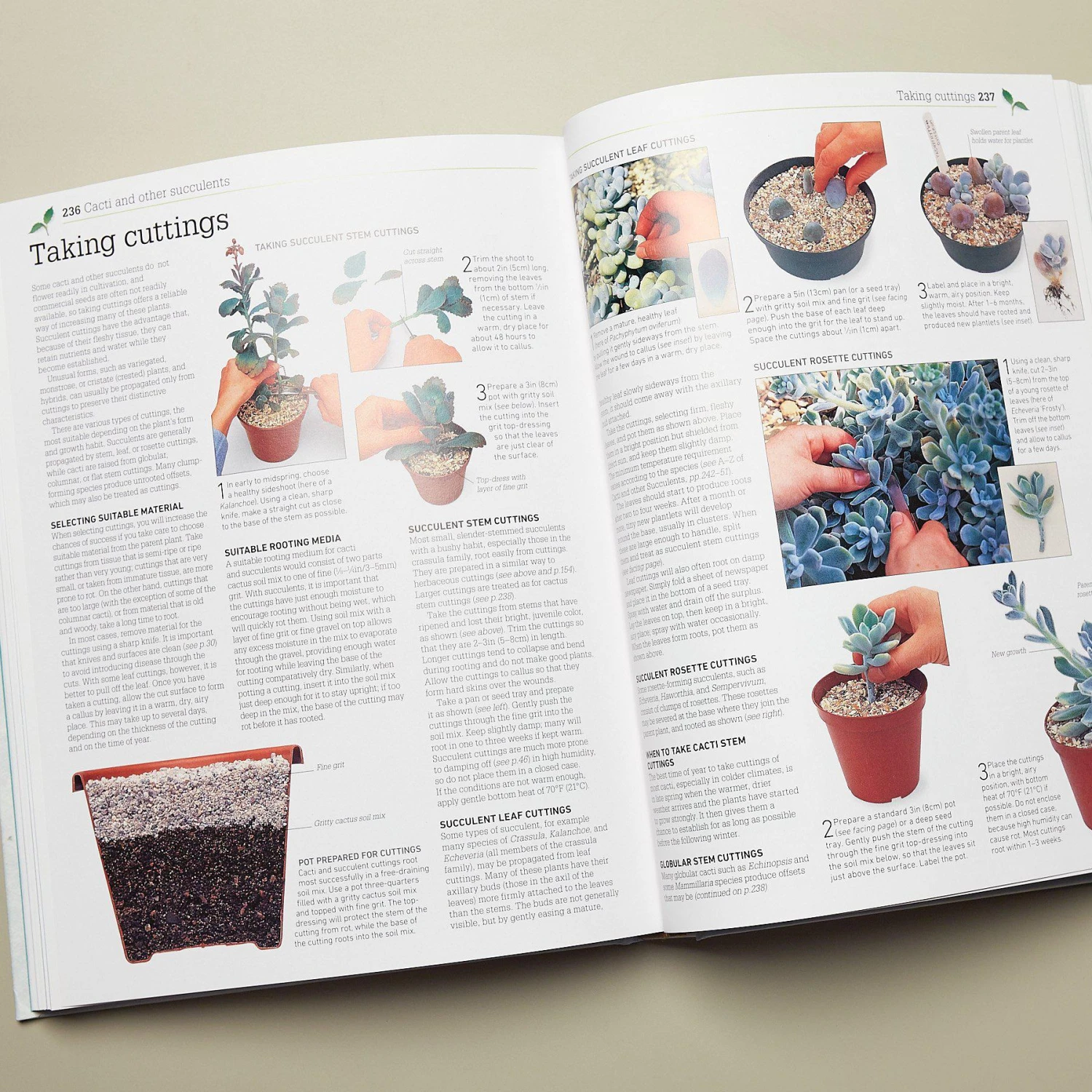 Book - Propagating Plants 2 Book - Propagating Plants - Image 2