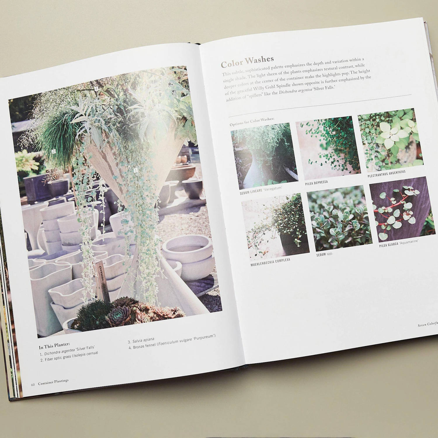 Book - Terrain 2 Book - Terrain - Image 2