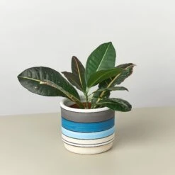 Polychrome Cylinder Pot - 5.5 Inch