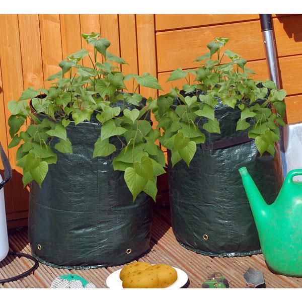 Front Page -Plant house aardappel kweekzak groen 1484053819 2 600