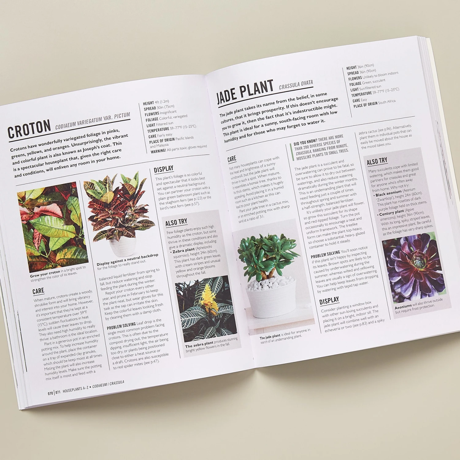 Book - Grow Houseplants 2 Book - Grow Houseplants - Image 2