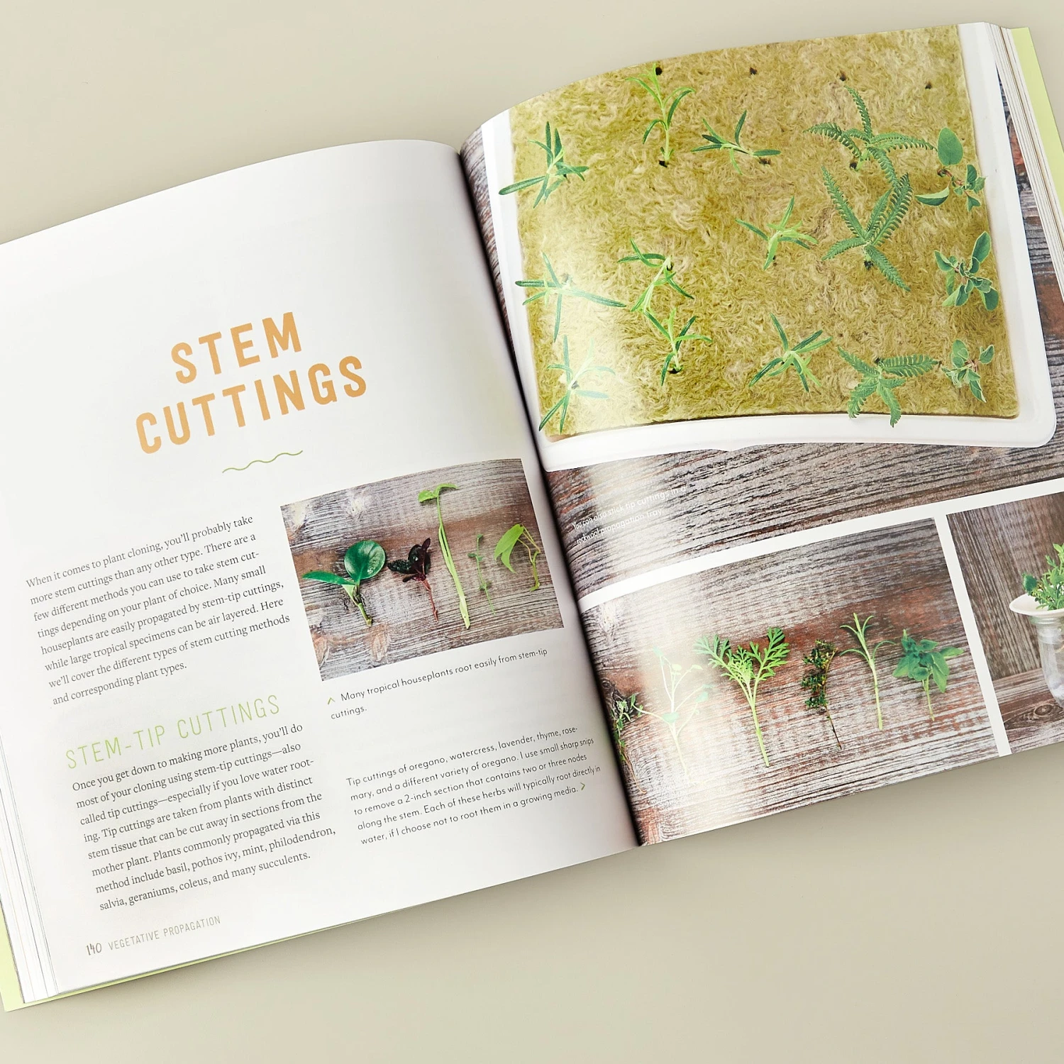 Book - Plant Parenting 2 Book - Plant Parenting - Image 2