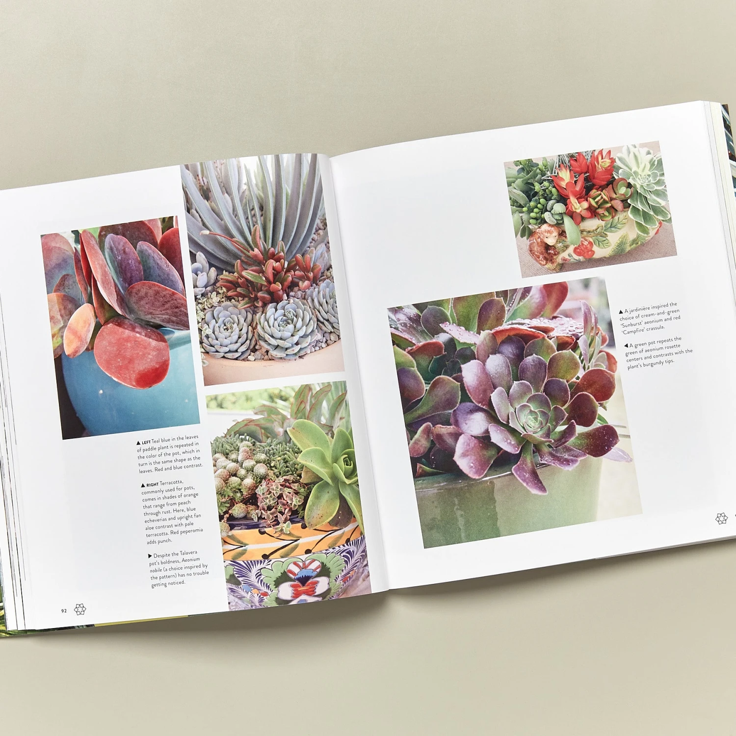 Book - Succulents Simplified 2 Book - Succulents Simplified - Image 2