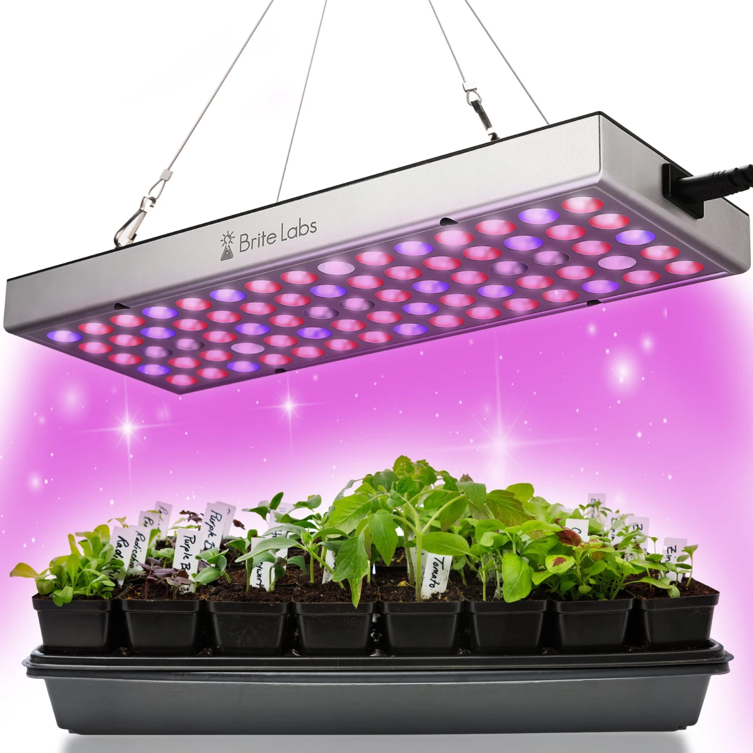 Brite Labs - Gaze Grow Light 1 Brite Labs - Gaze Grow Light