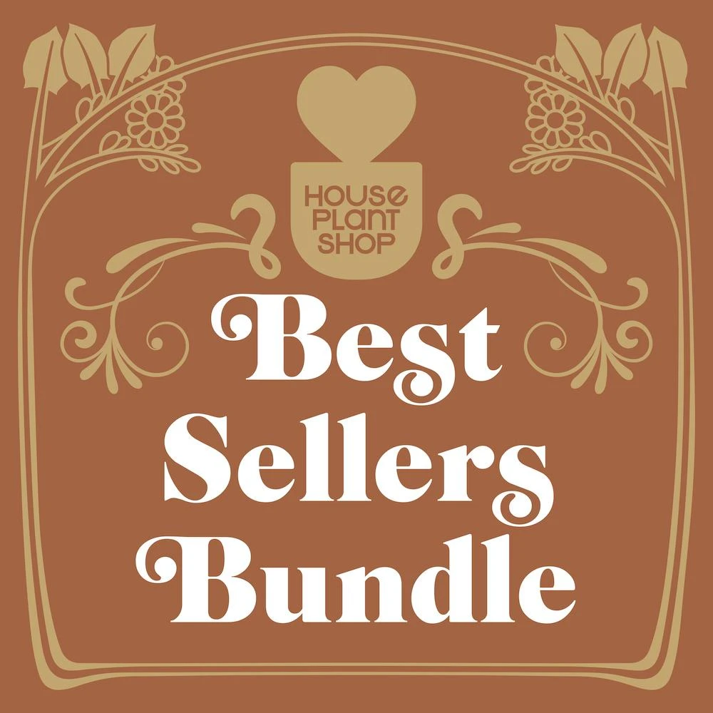 Best Selling Bundle 2 Best Selling Bundle - Image 2