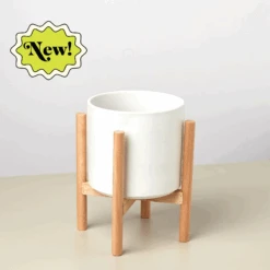 Cylinder Planter With Wood Stand - 5" Pot