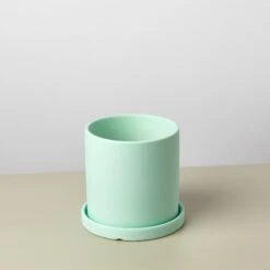 Matte Finish Cylinder Planter With Saucer -Plant house mattepotmint