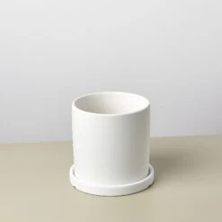 Matte Finish Cylinder Planter With Saucer -Plant house mattepotwhite