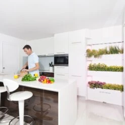 Click And Grow | Wall Farm -Plant house wf lifestyle 002 1200x c7061db5 fe59 4d49 a2d4 4c6e52155aa6