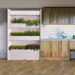 Click And Grow | Wall Farm -Plant house wf lifestyle extra 1200x 3f8229b3 acf0 4dec a9d3 973c008b58c4